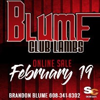 Blume Online Sale